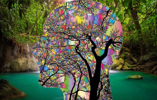 Xwezanîn dayika hemû zanînan e