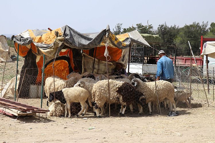 Bêriya te dikim qîzmetê