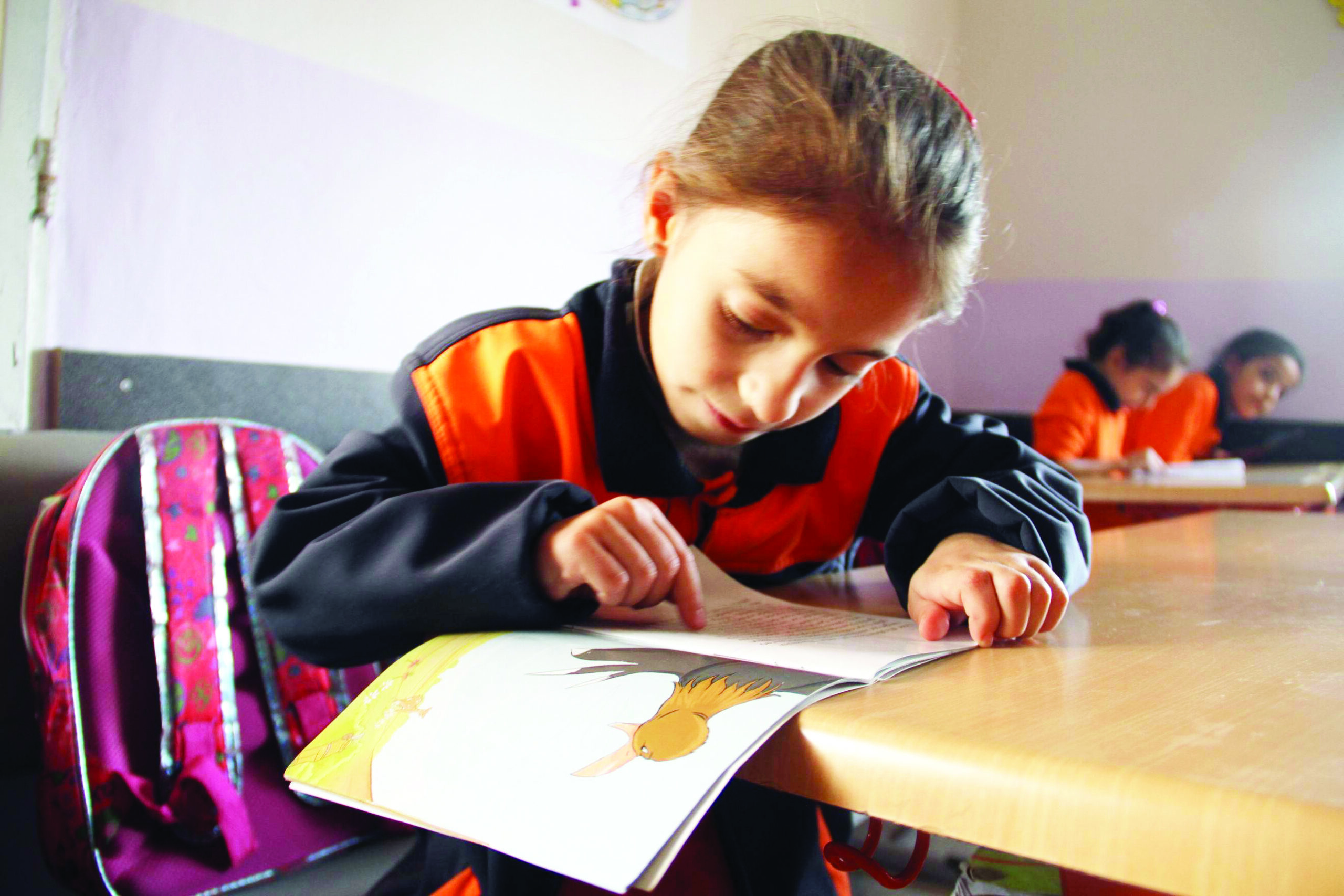 Pêşxistina zimên, peywira welatparêziyê ye