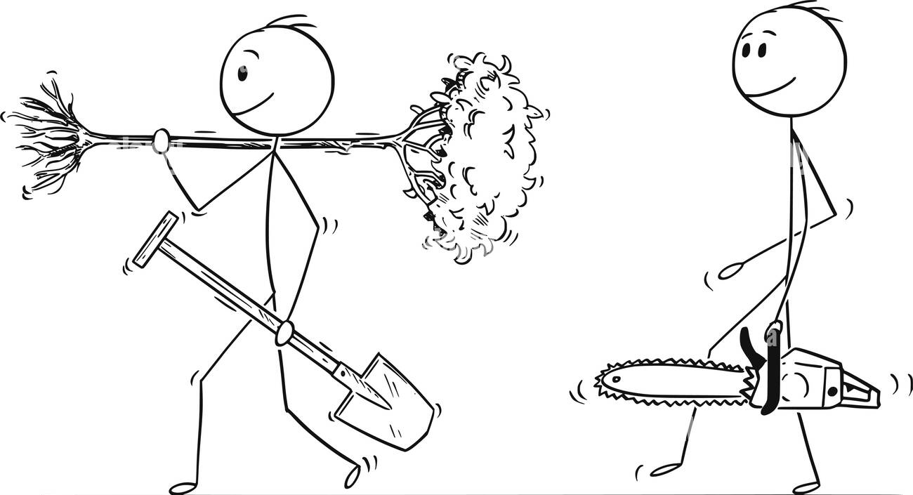 Ne bû sitûn ne jî pîjik!