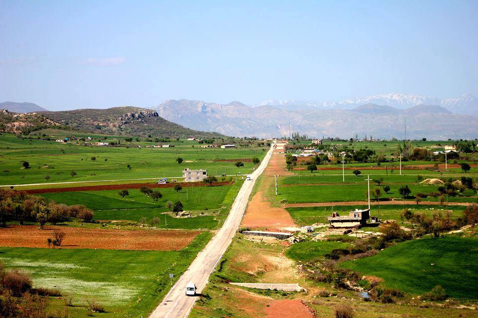 Bizmarê zingarî û gûzên Qendîlê