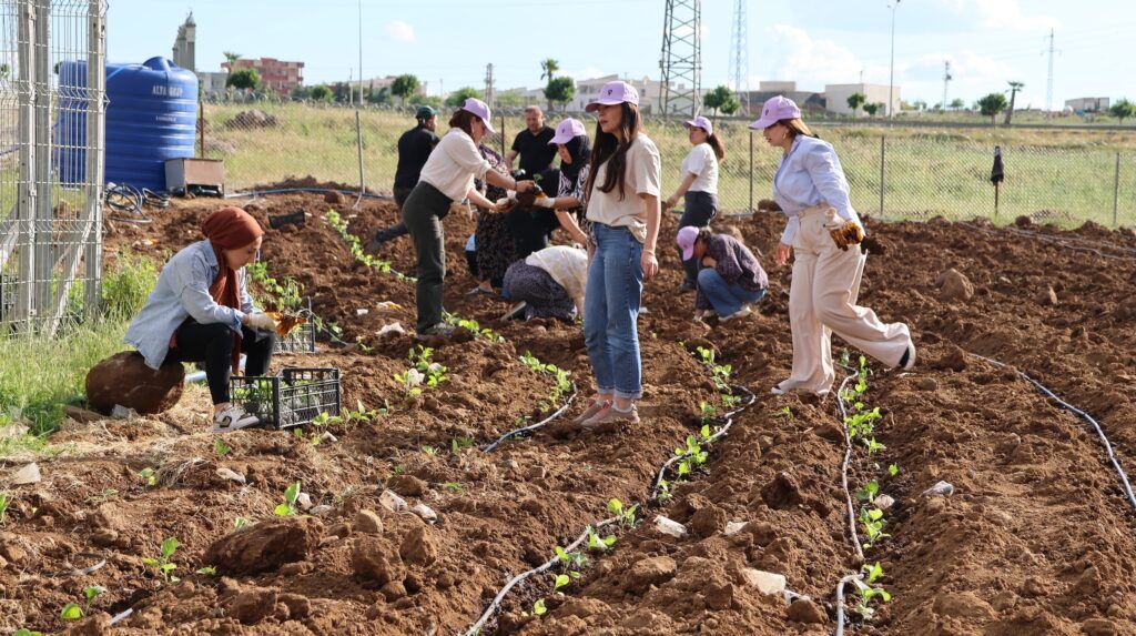 Li Cizîrê û Kerboranê komuna jinan vekirin