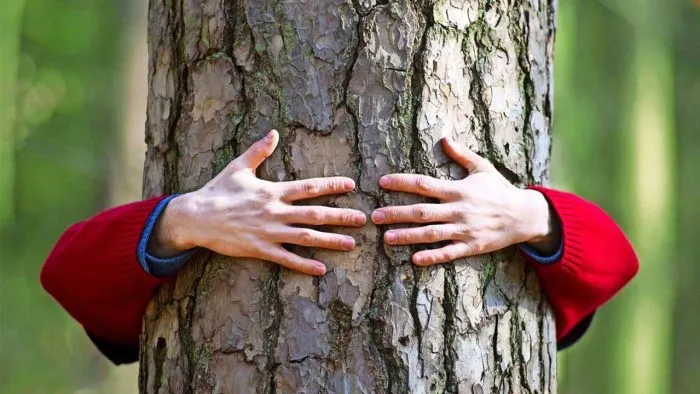 Merdim û xozaya komelkî