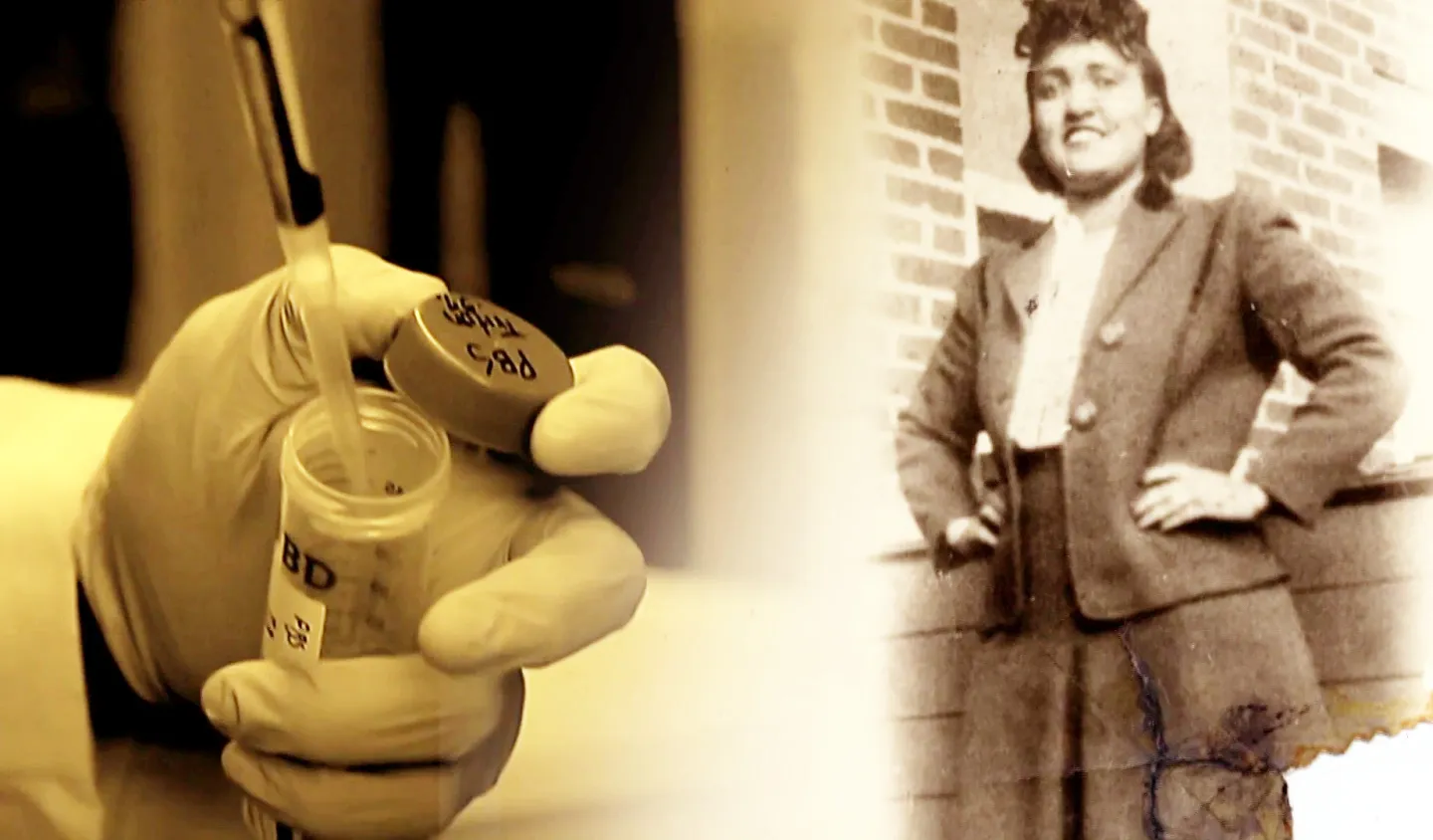 Qehremana nêasoxî ya tibê modernî: Henrietta Lacks