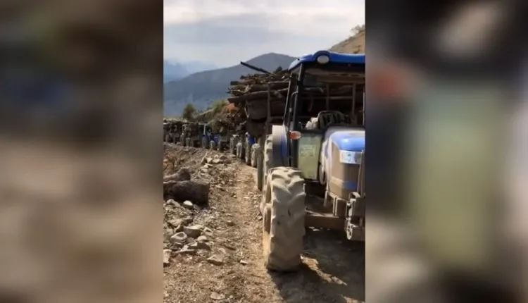 CPT: Tirkiye daristanên Kurdistanê dibire