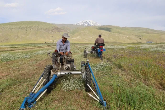 Li Gilîdaxê dema gîhadirûnê ye!