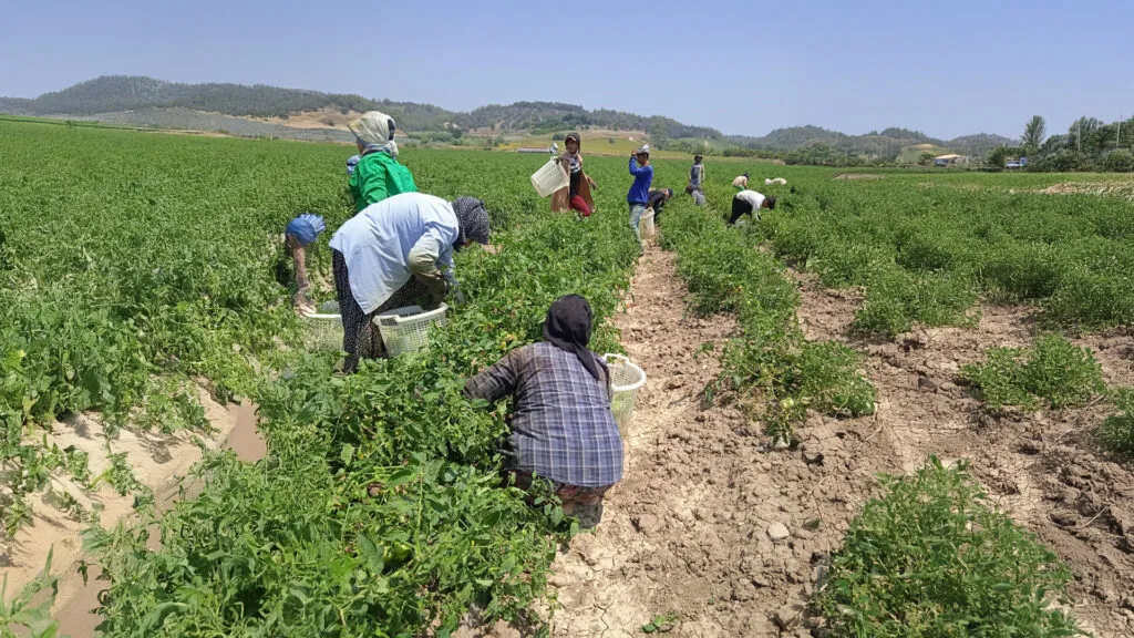 Di bin şertên giran de dixebitin