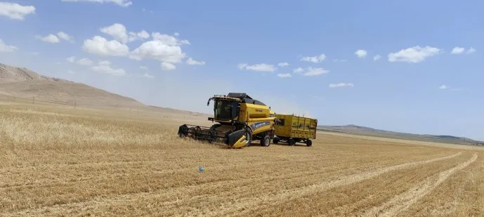 Li Mêrdînê cotkaran dest bi çinînê kir