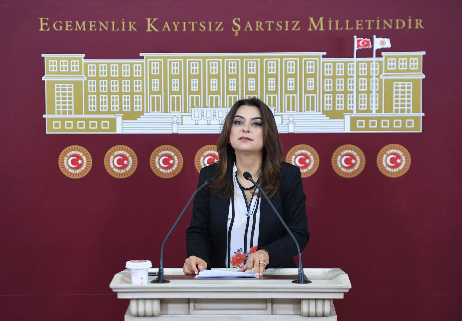 Gulistan Kiliç Koçyîgît: Daxwaza me ya sereke azadiya fîzîkî ya Ocalan e