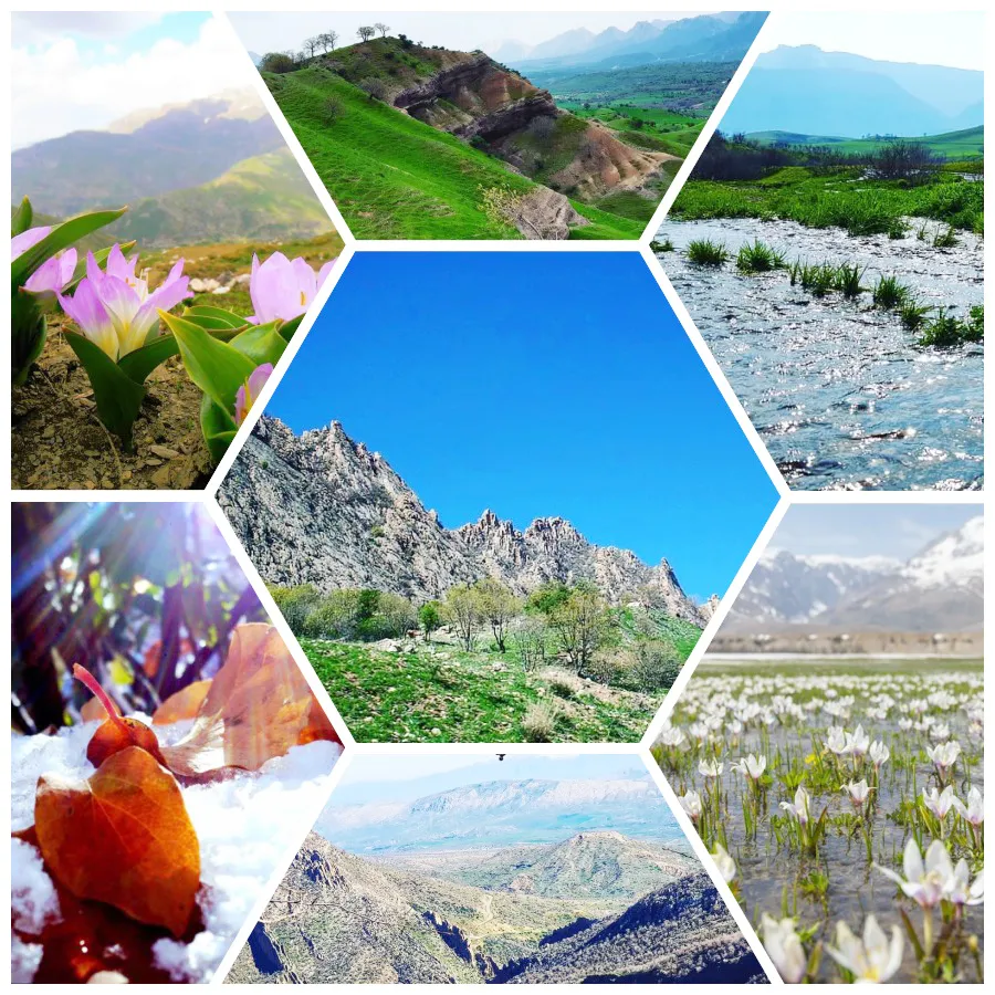 Bedewa tevahiya demsalan: BIHAR