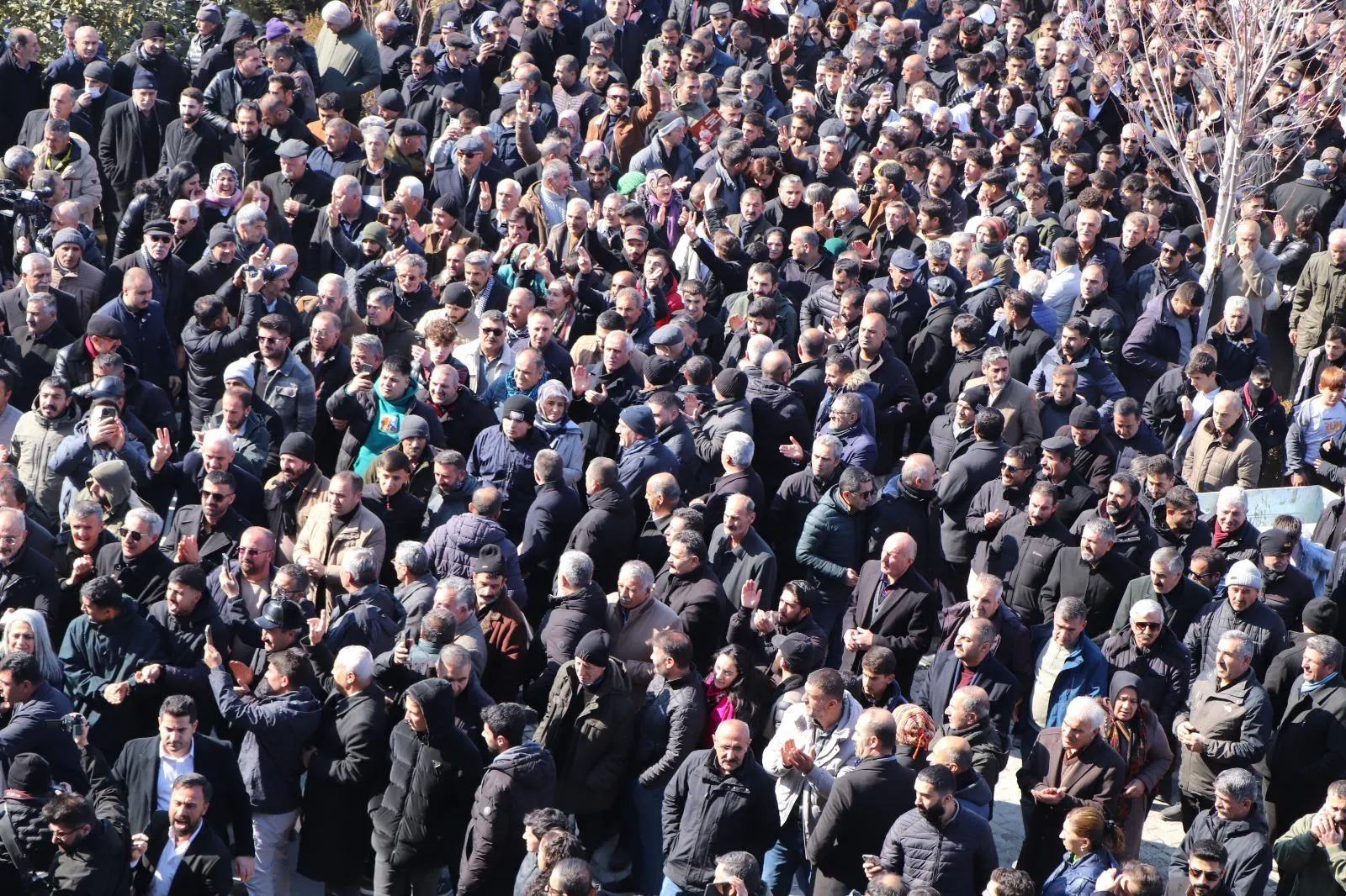 Gelê Wanê li kolanan parastina vîna xwe dike