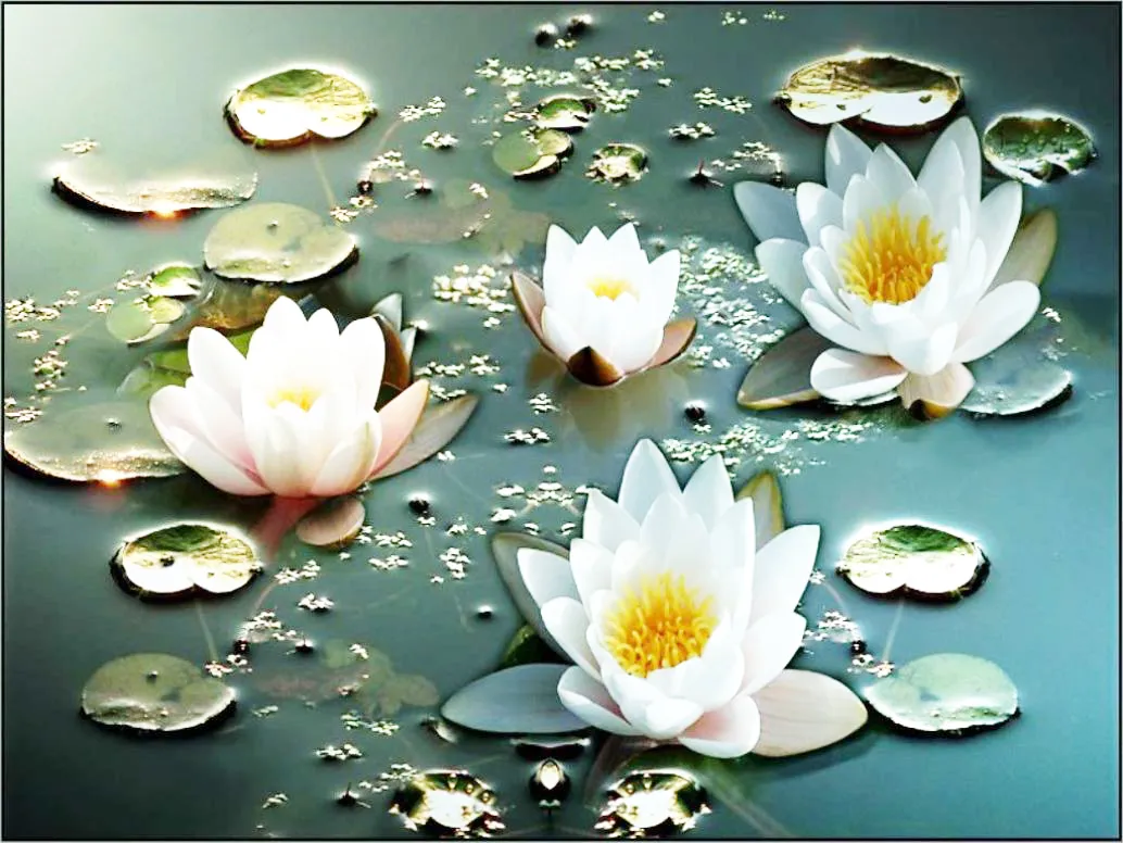 Li çiyayên jor binerin