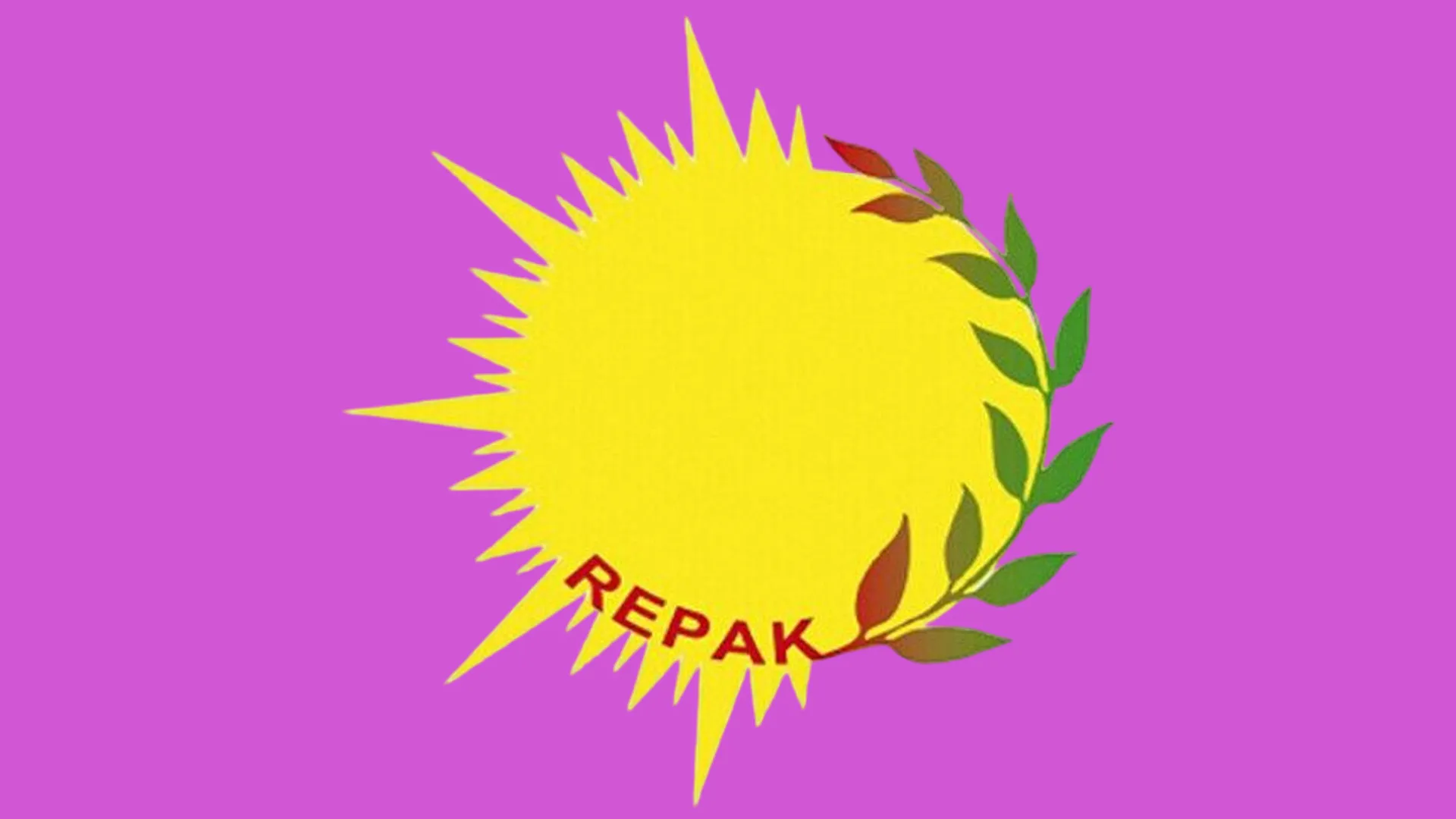 REPAK: Em destûr nedin ku jiyana tune were hesibandin