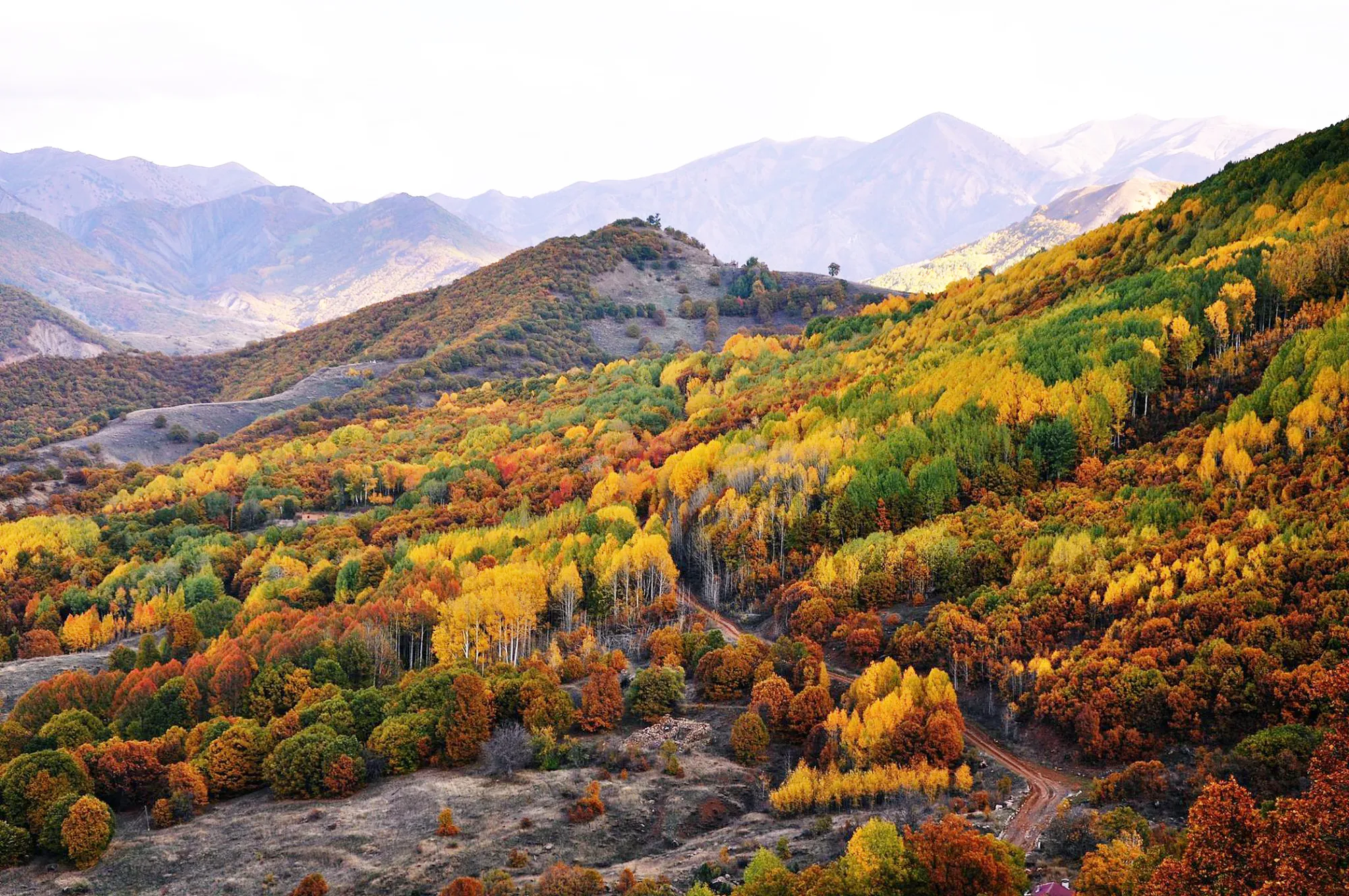 Dil her dem payîz e