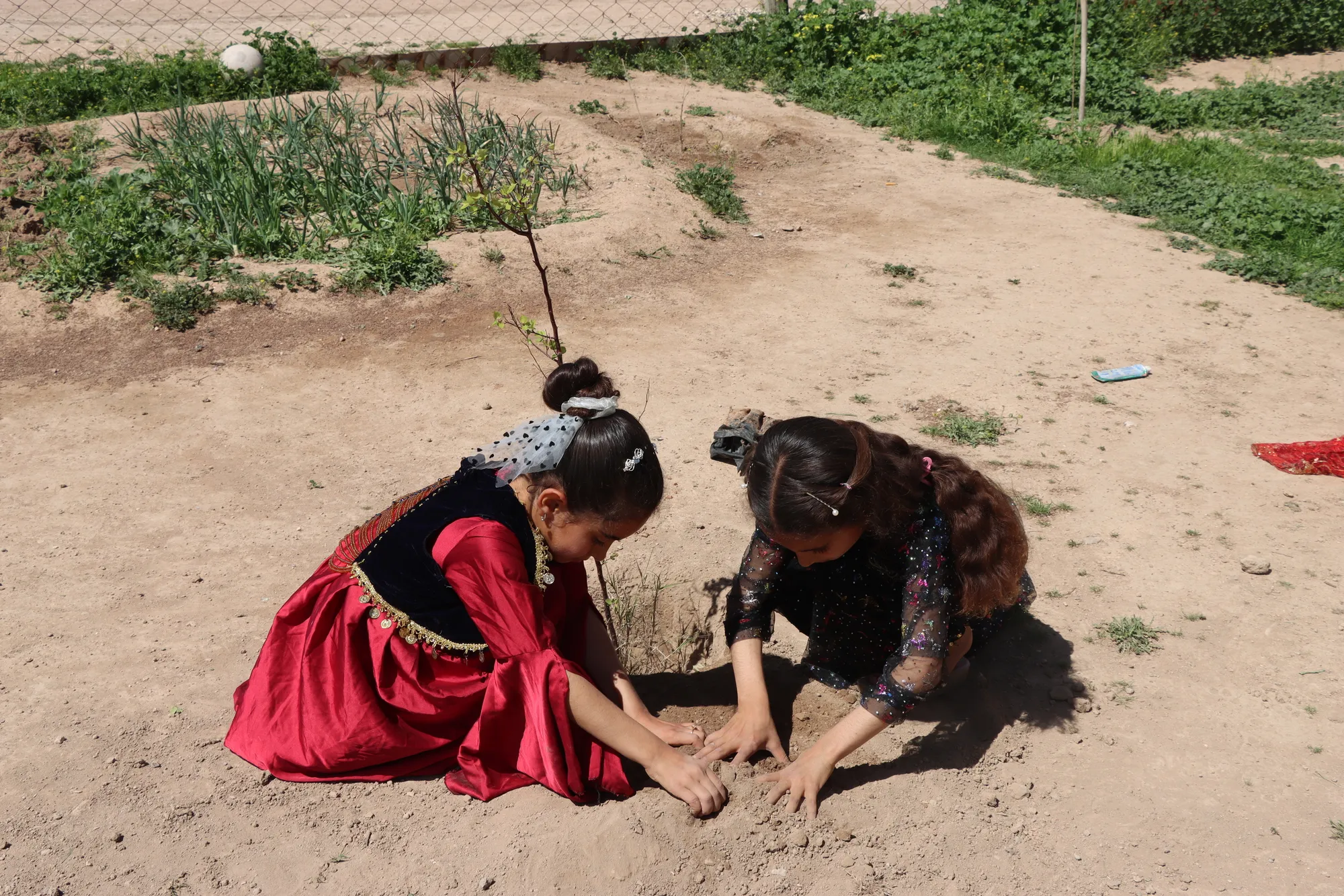 Her zarokek û darek