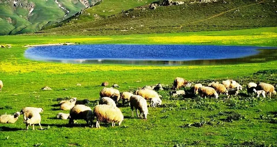 Siyaseta atomîk û alternatifa siyaseta ekolojîk