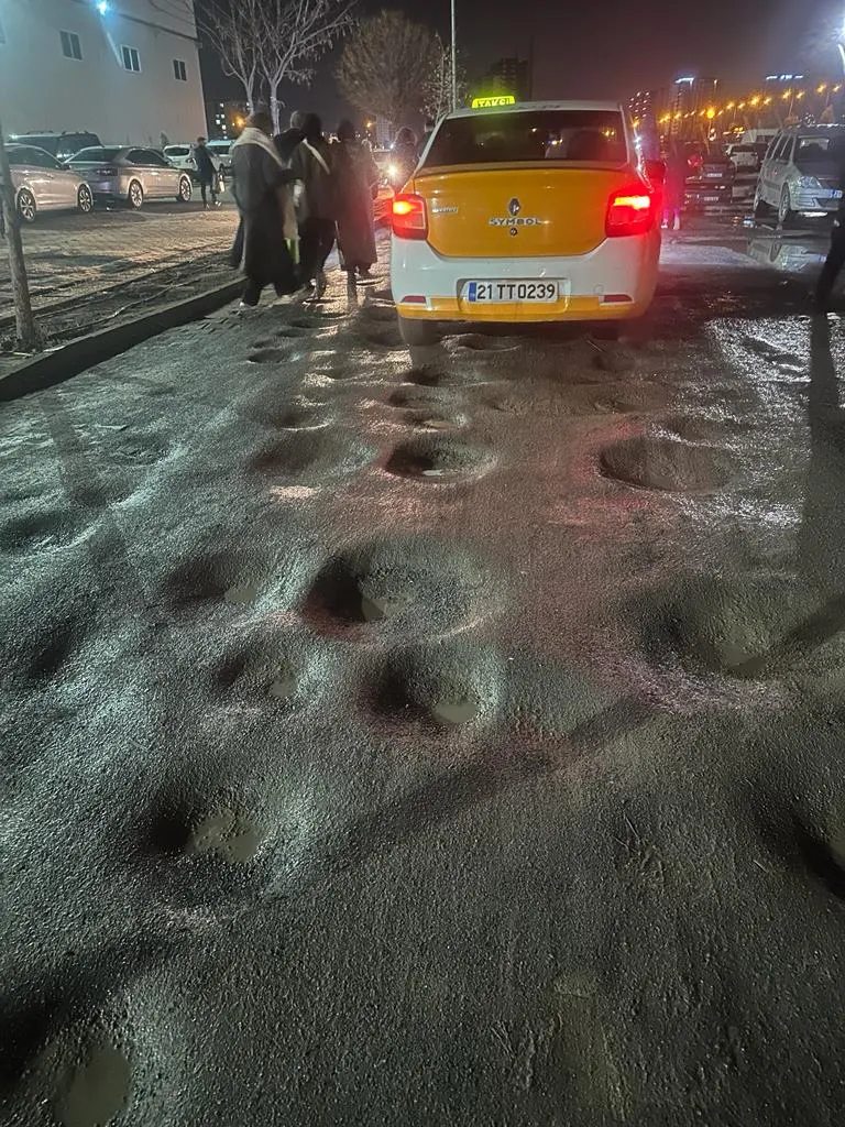 Çavdêriyek li ser fûara pirtûkan a Amedê