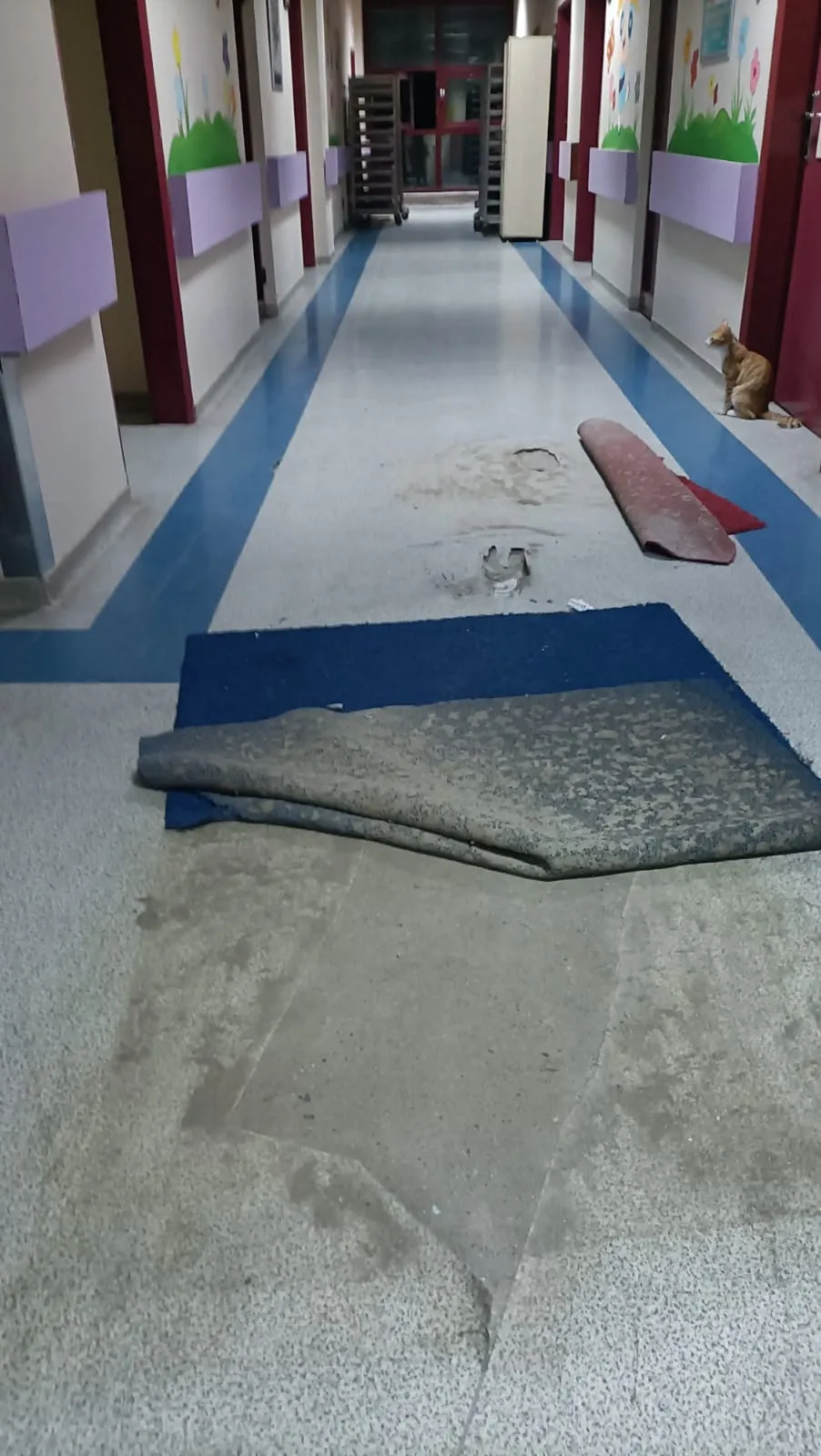 Li nexweşxaneya Amedê bê eleqedariya mezin