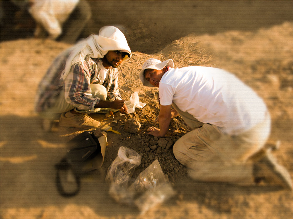 Bila çîrok sêwî nemînin