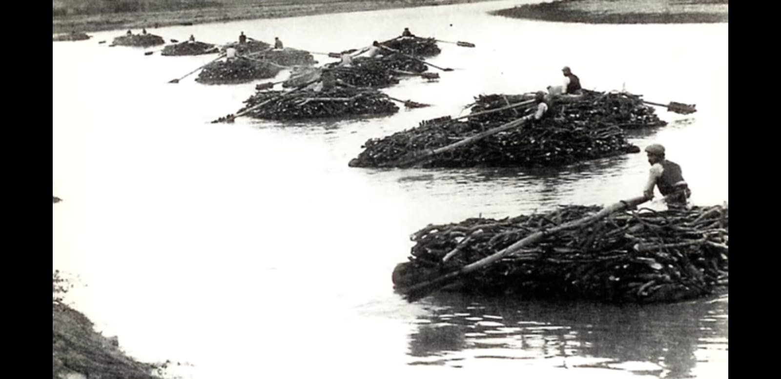 Ji Hz. Nûh heta Mehmet Tûnç; Cizîr