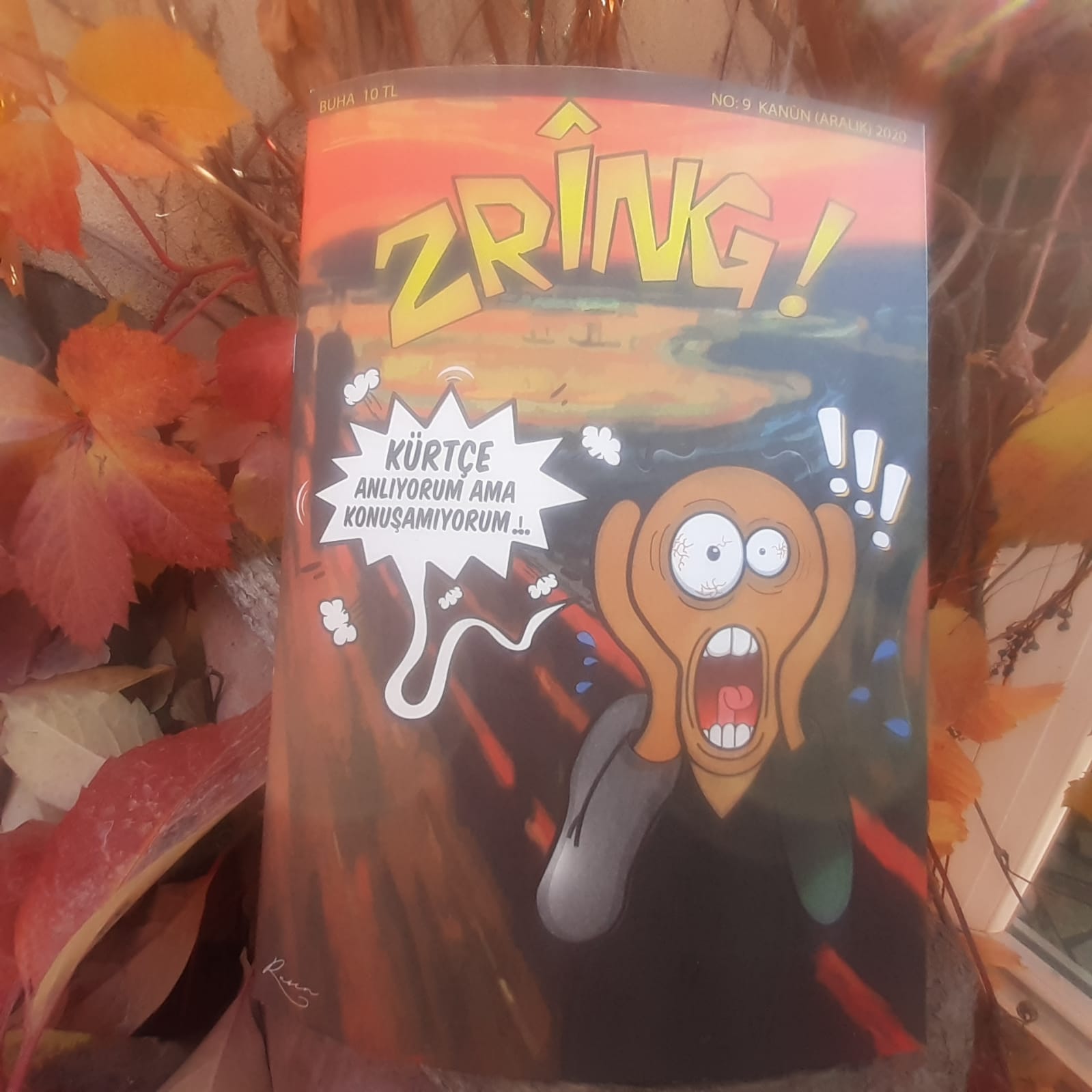 Zrîng bi berga ‘Kürtçe anlıyorum ama konuşamıyorum’ derket