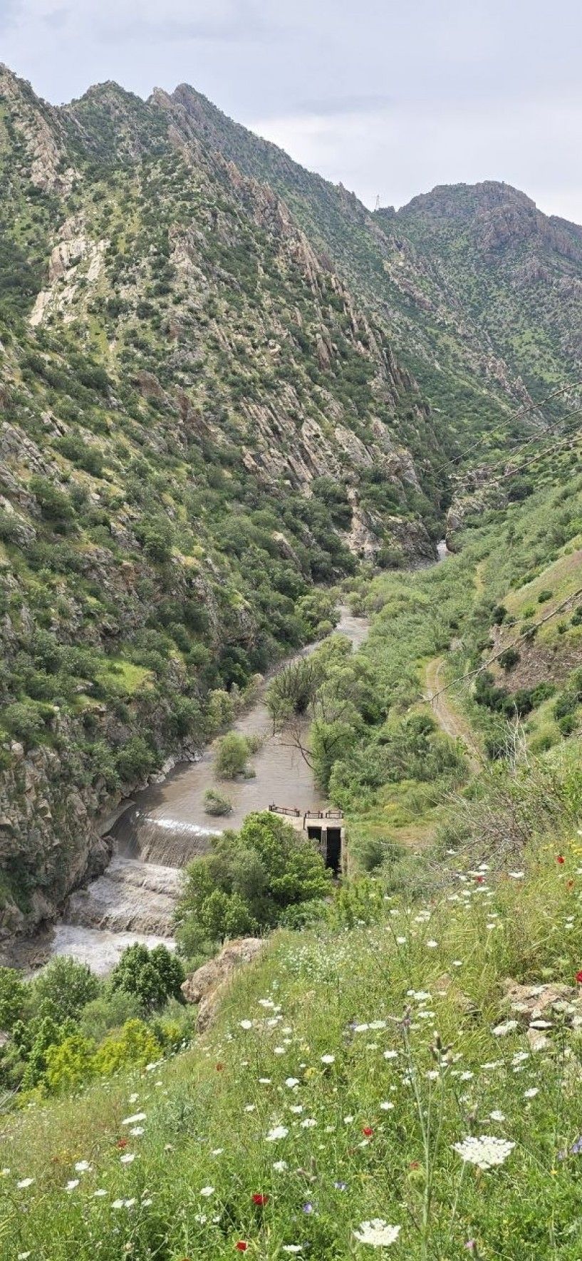 Kanên komirê yên endamê AKPê Suleyman Bolunmez, Çemê Nêrdûşê qirêj dike.