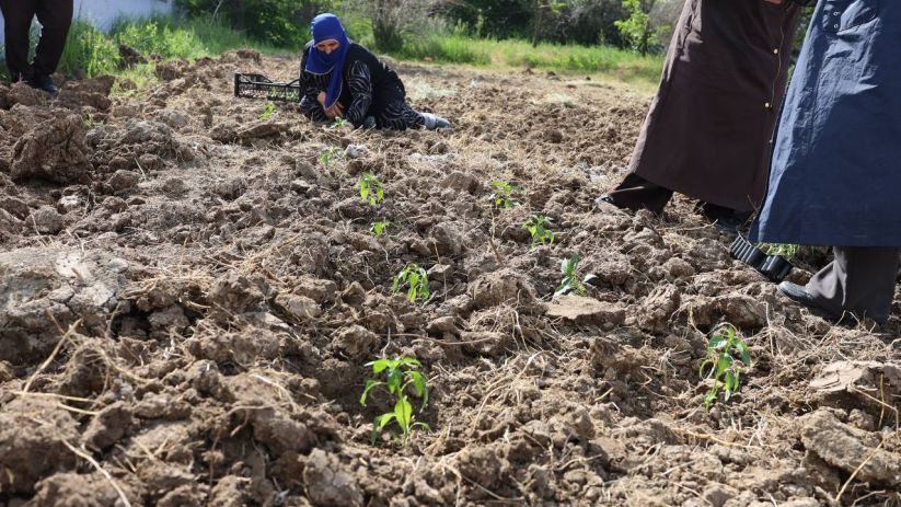 Piştevaniya Zîn bîstanê bajêr ê jinan vekir 