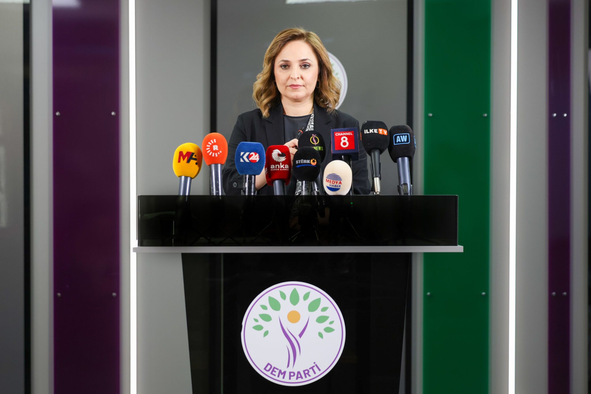 Em li rex demokrasî û hiqûqê disekinin