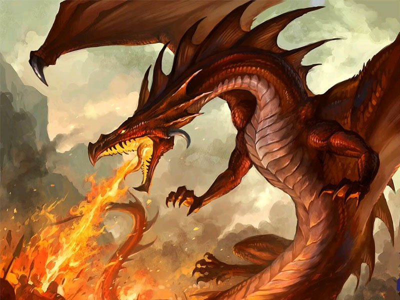 Velgê dare ruçikit kerd çuwalan