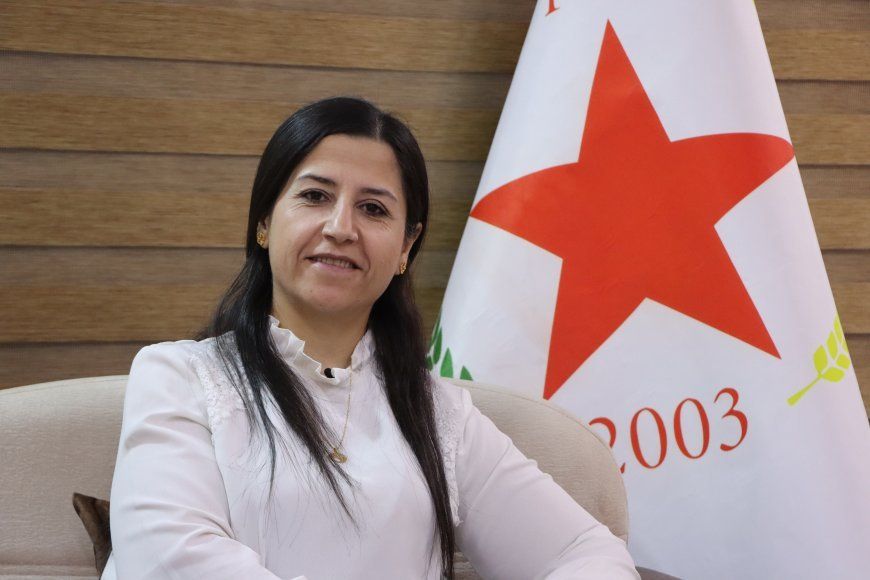 ‘Ev şerê mezin li dijî paradîgmaya demokratîk e’