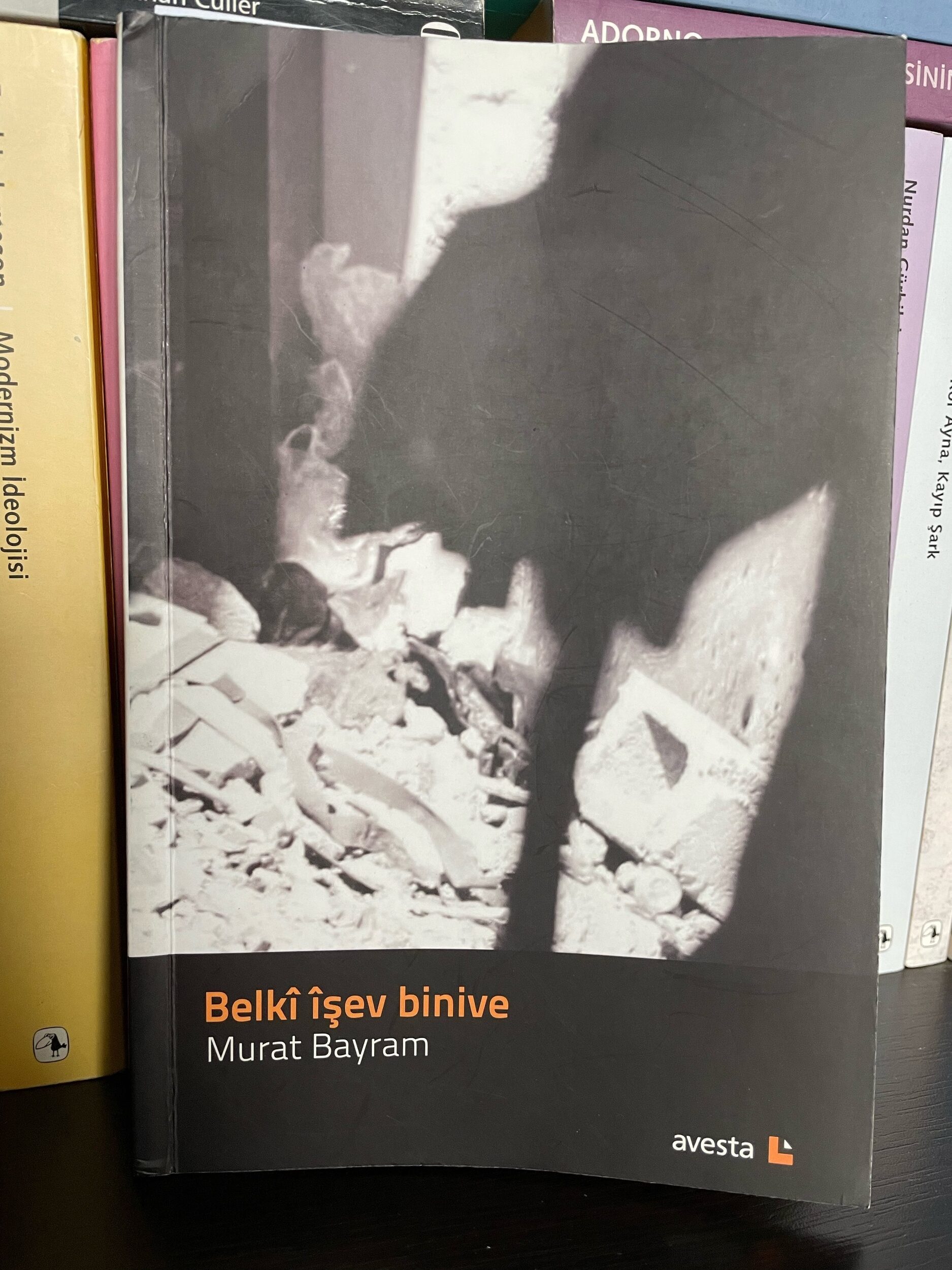 Rojnamegeriya edebî û mînaka ‘Belkî îşev binive’yê