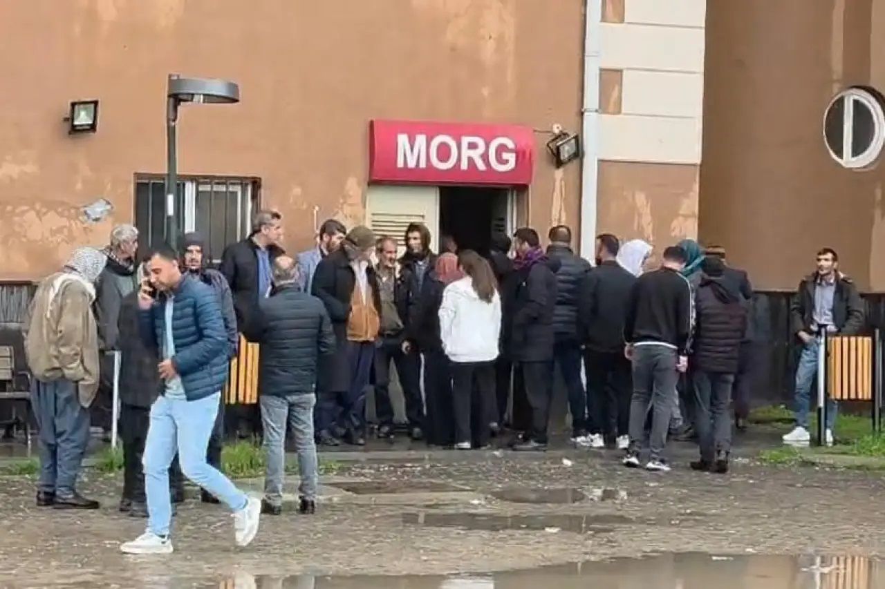 Netîceyê kewtişê birûskî de 2 domanan weşîya xo vînd kerde