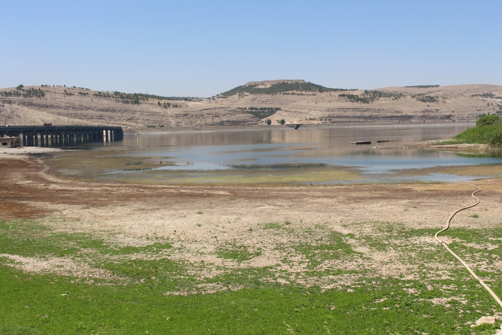 Avê wek çek bi kar tînin!