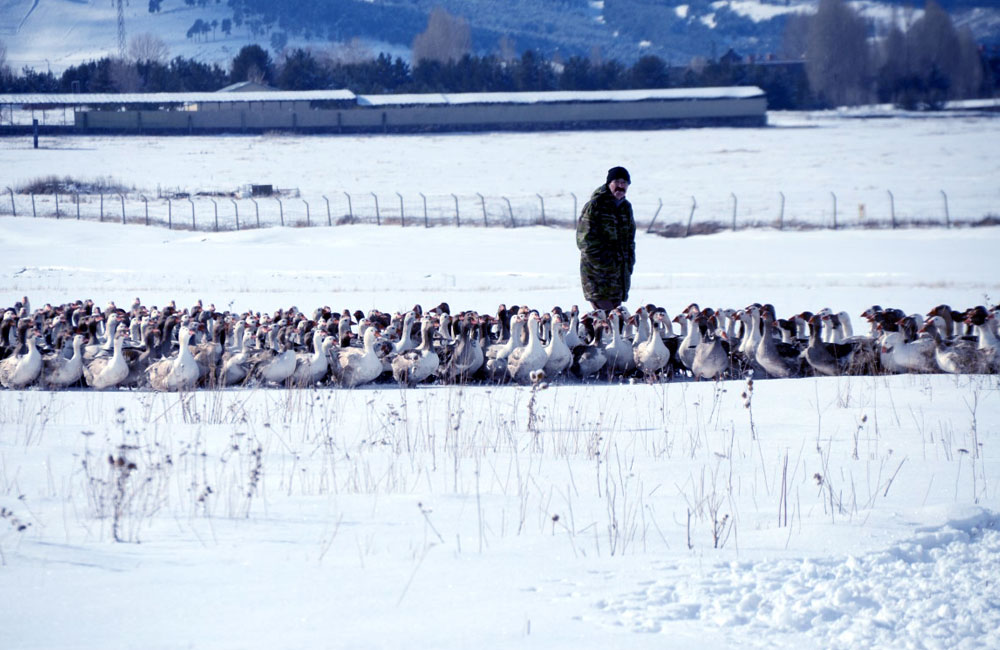 Zivistan û cimetên berê