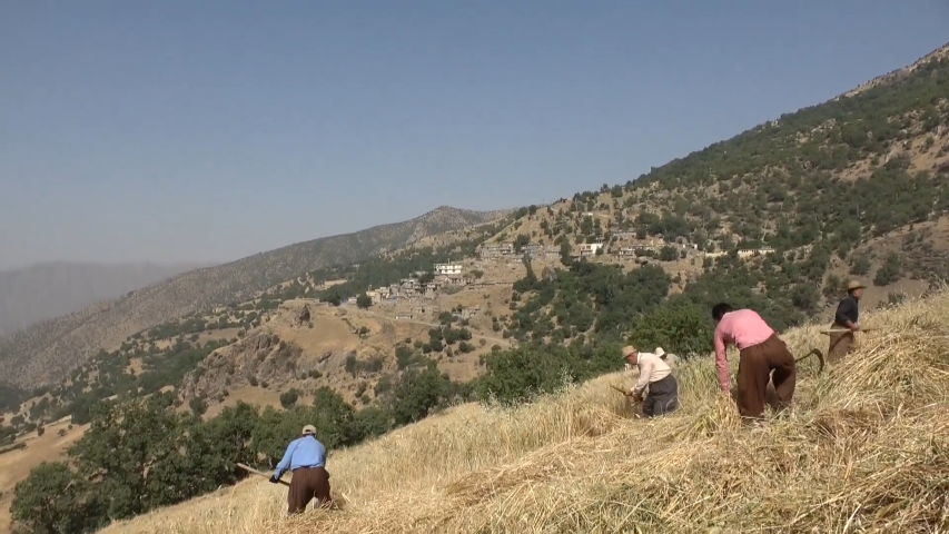 Zibare karê gundiyan hêsan dike