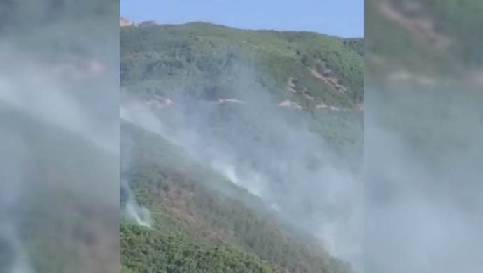 Daristana Bedlisê ev 5 roj in dişewite