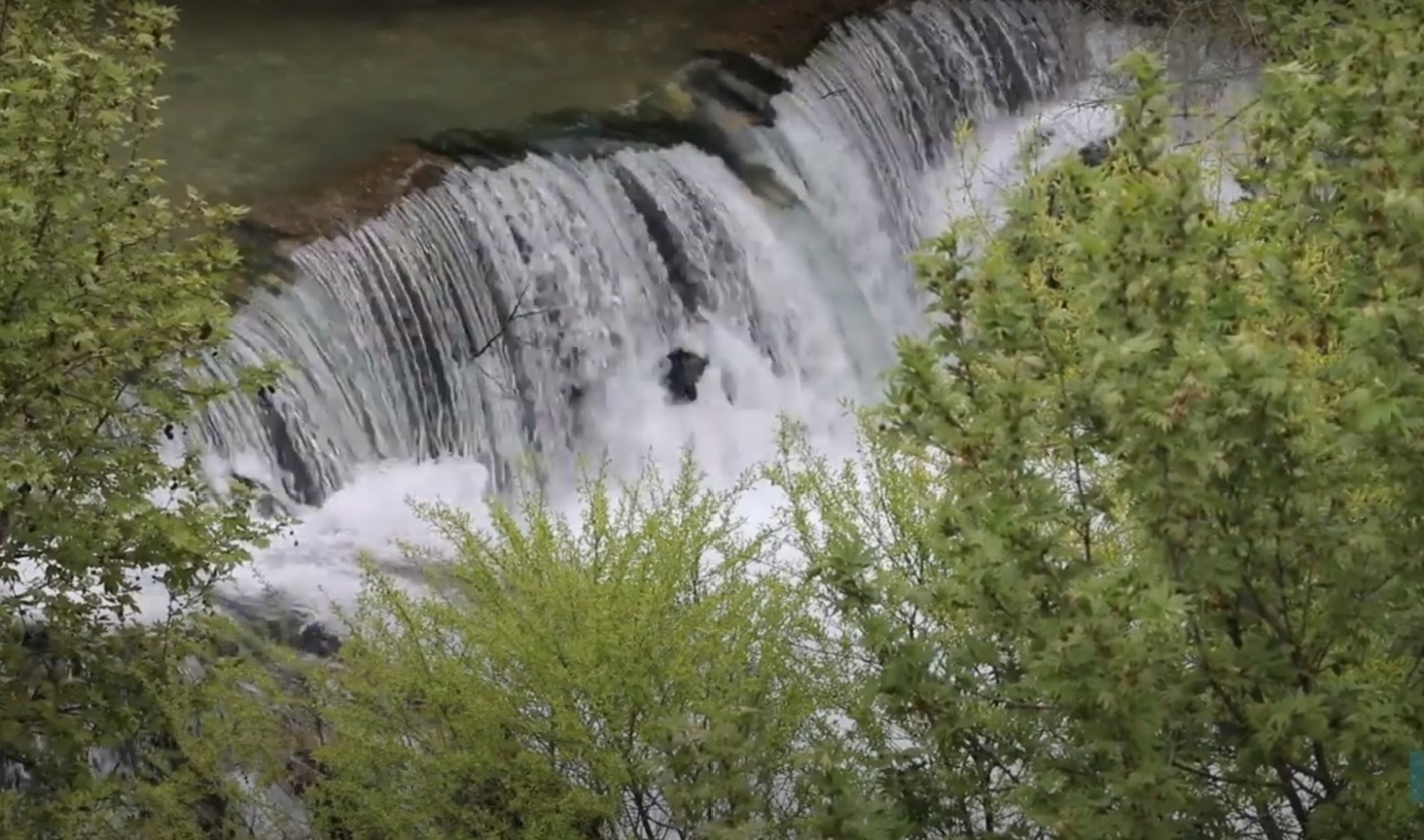 Li navçeya Çermûgê parçeyek ji bihuştê: Şirava Şêxan