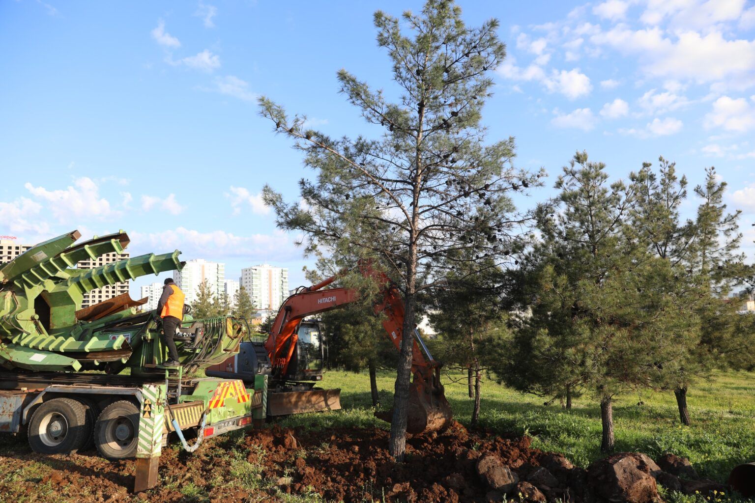 Li Amedê firehkirina rê û bertekên ekolojîstan