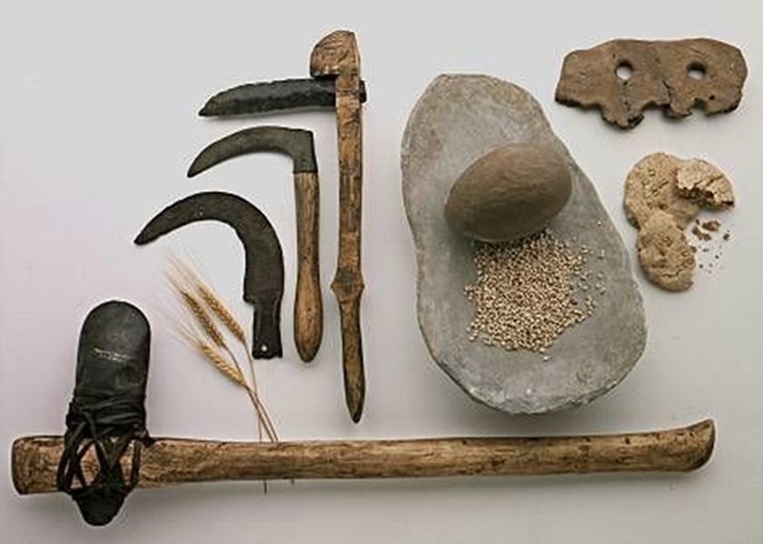 Em çima ne pîşesaz in?