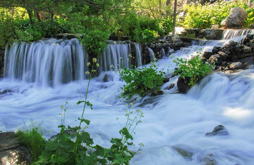 Elewî li dijî projeya rantê bibertek in