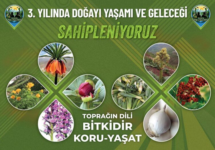 Dêrsim de vengdayîşê ‘Nobeta Xoza û Cuye’: Herra Munzurî cuye ya!