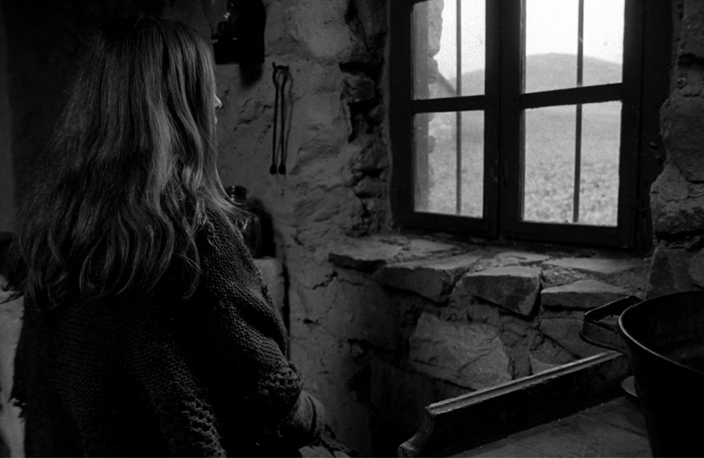 Her tişt bê te ye!