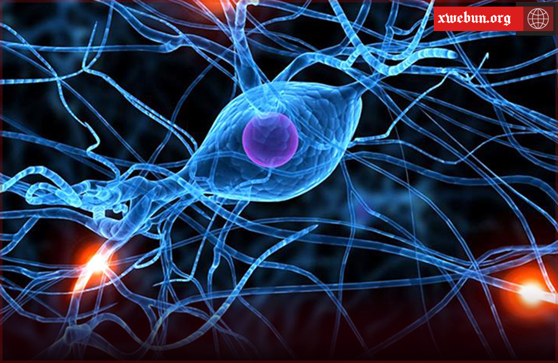 Nexweşiya Epîlepsiyê