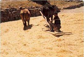 Bi gayê xelkê cot nayê kirin efendîno!