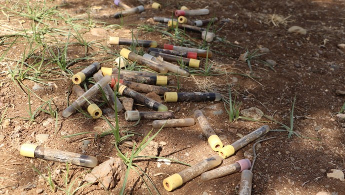 Li goristanê nêzî 100 tûpên xwînê hatin dîtin