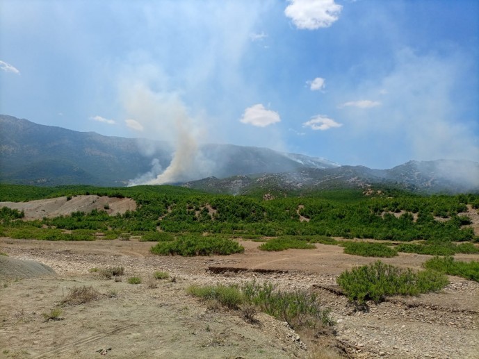 Li Pîranê 10 roj in daristan diweşite