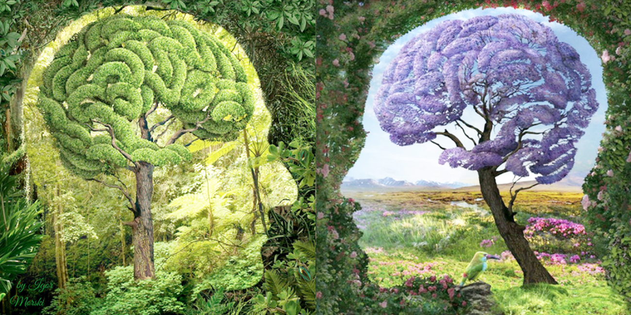 Di xwe de israrkirin mirin e