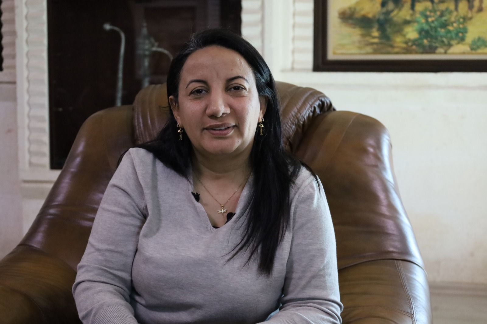 Nexşerêya nû ya bajarên jinan