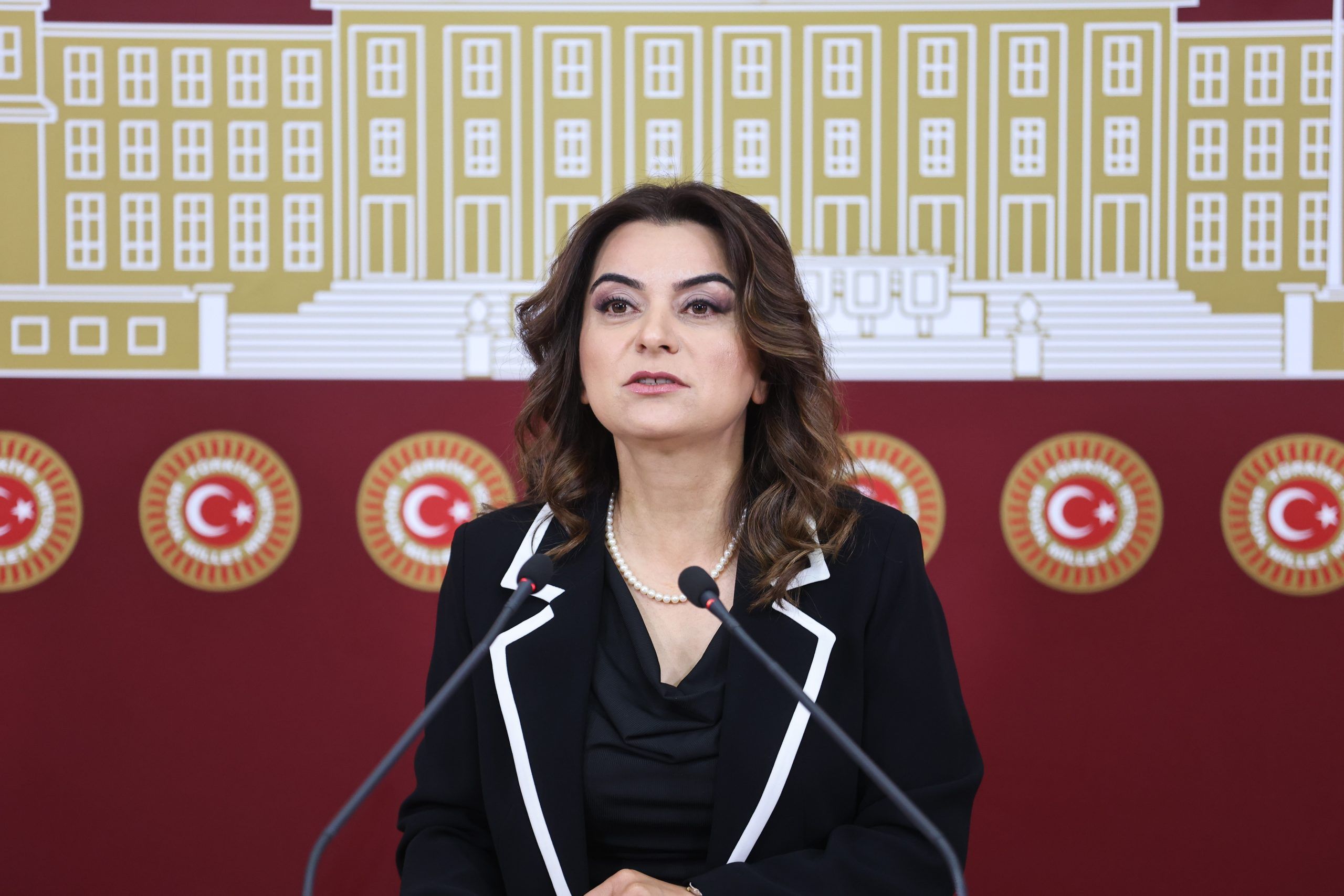 ‘Navnîşana çareseriyê siyaseta demokratîk û meclîs e’