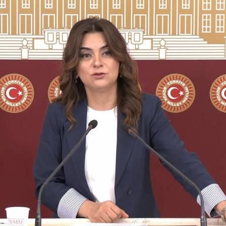‘Divê Meclîs demildest berpirsyariya xwe bi cih bîne’